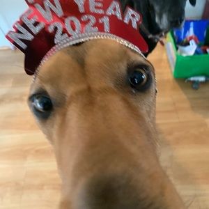 Meet your Posher, Erika